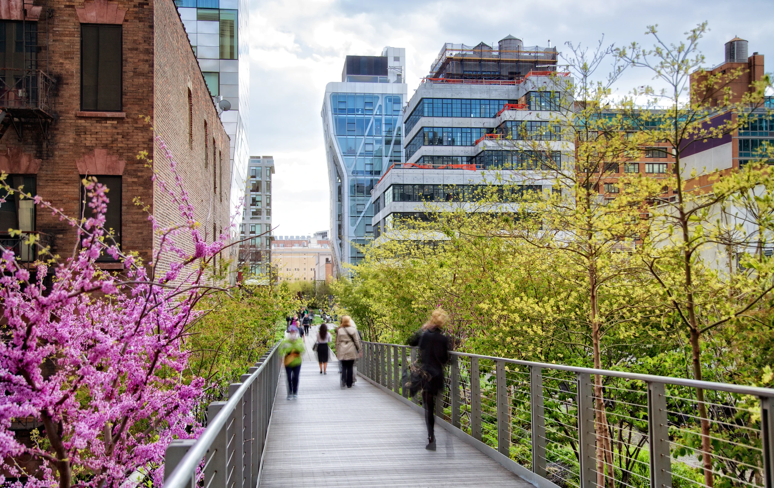 The bridge at High Line with spring trees blossoming